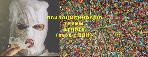 ПСИЛОЦИБИНОВЫЕ ГРИБЫ Михайловск