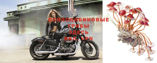 мескалин Михайловка