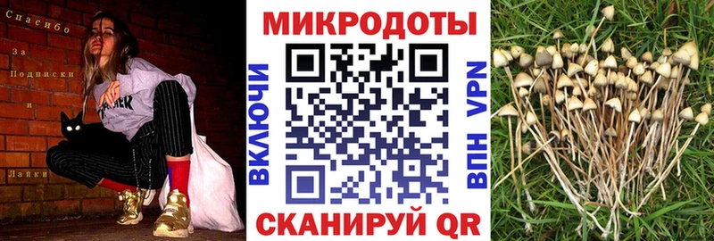 блэк спрут онион  Ялуторовск  Галлюциногенные грибы Magic Shrooms  наркотики 